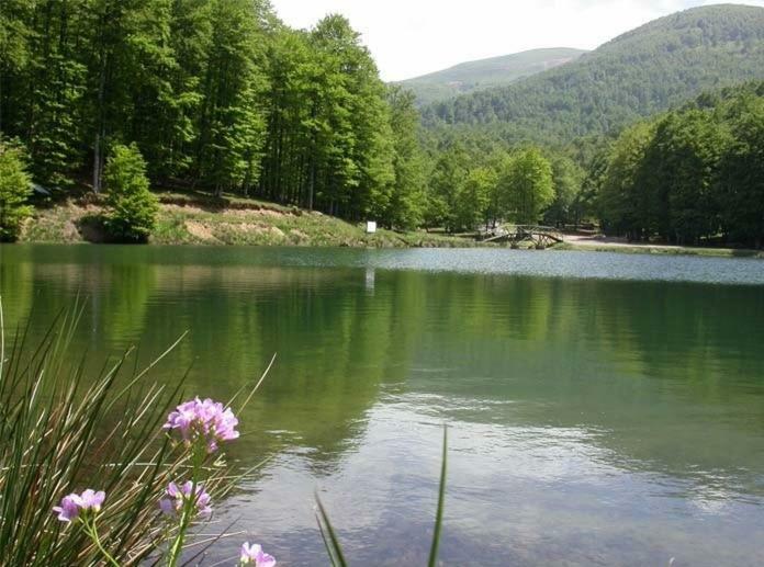 Gite Botiga Saint-Jean-le-Vieux  Екстериор снимка